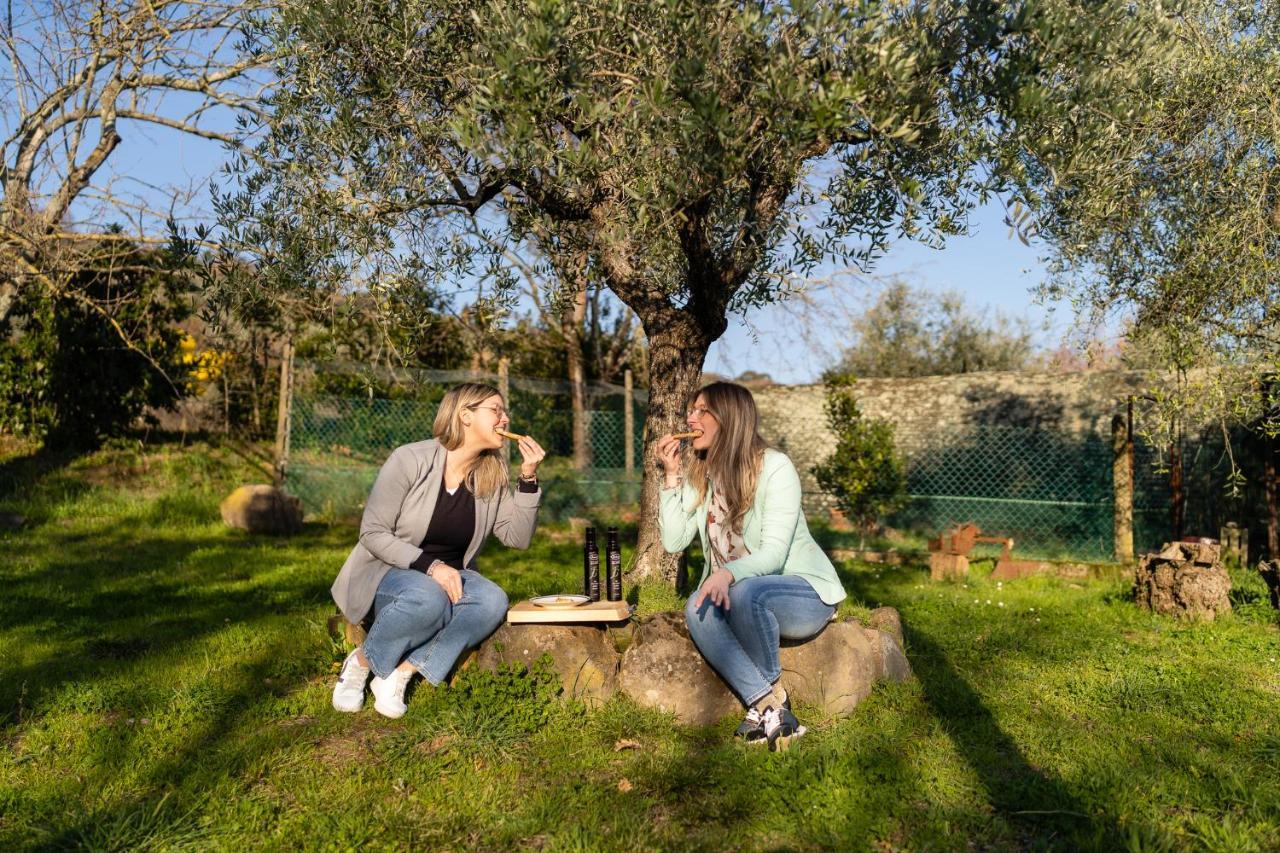 Agriturismo Bellandi Santa Lucia  ภายนอก รูปภาพ